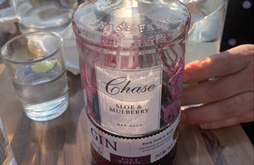 Gin Tasting