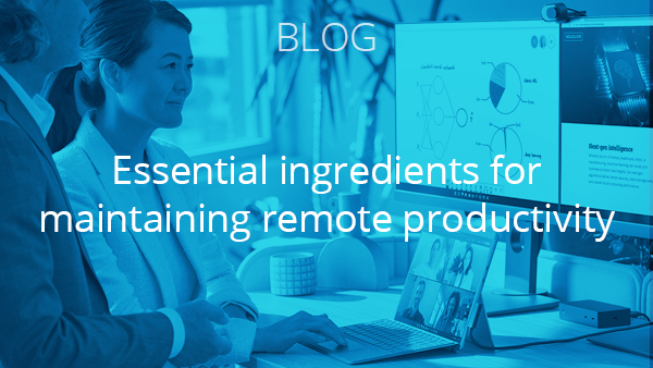 Blog: Essential ingredients for maintaining remote productivity